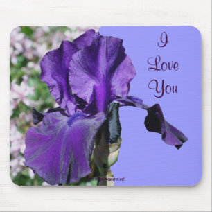 I Liebe Sie Lila Iris Blume Foto Mousepad