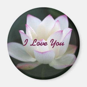 I Liebe Sie Magnet