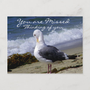 I Liebe Sie_ Postkarte