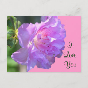 I Liebe Sie rosa Azalea Blume Foto Postkarte