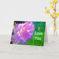 I Liebe Sie rosa Azalea Blume