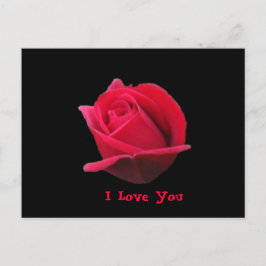 I Liebe Sie Rose Postkarte