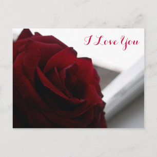 I Liebe Sie (Rote Rose) Postkarte