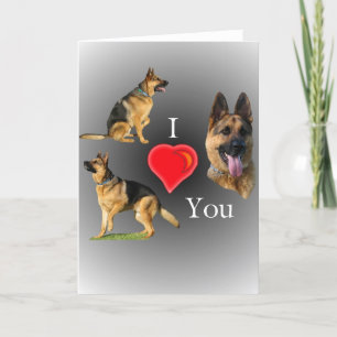 I Liebe Sie Schäferhund Karte