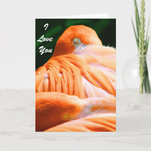 I Liebe Sie/ Zu jedem Anlass _Card Karte