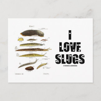 I Liebe Slugs (Naturalist / Natur) Postkarte