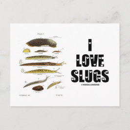 I Liebe Slugs (Naturalist / Natur) Postkarte