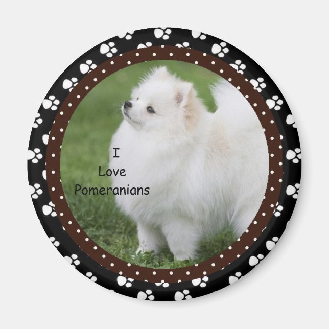 I Liebe Spitz Dog Magnet 2 (Vorne)