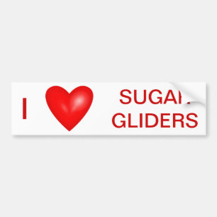I Liebe Sugar Gliders Autoaufkleber