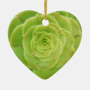I Liebe Sukkulationen Keramik Ornament