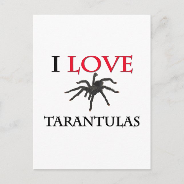I Liebe Tarantulas Postkarte (Vorderseite)