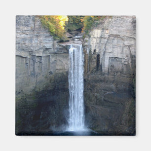 I Liebe Taughannock Falls Magnet