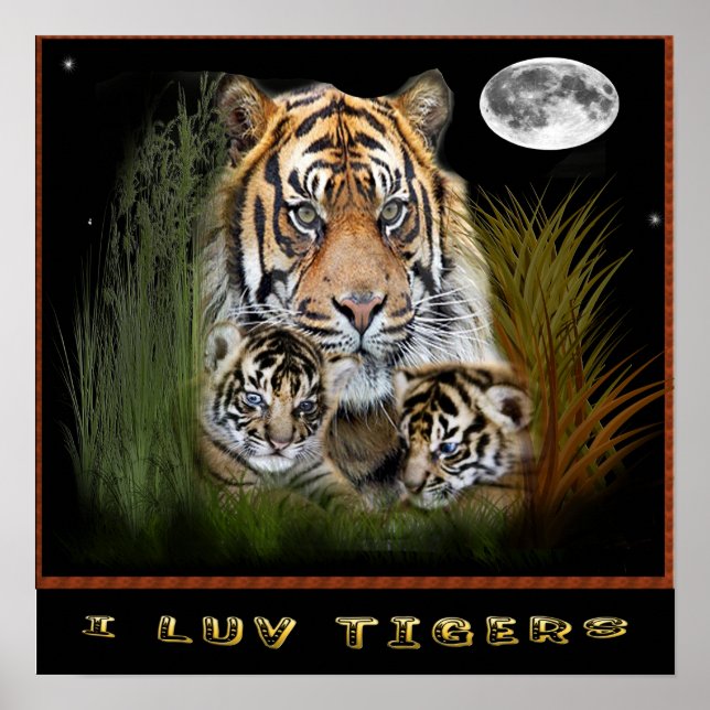 I Liebe Tiger Plakate (Vorne)