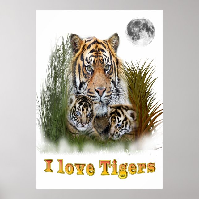 I Liebe Tiger Poster (Vorne)