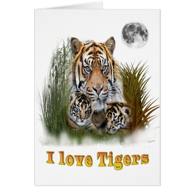 I Liebe Tigers (Vorne)
