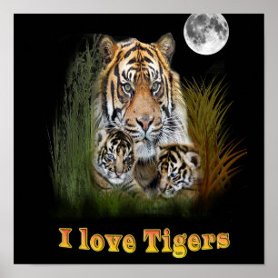 I Liebe Tigers Poster