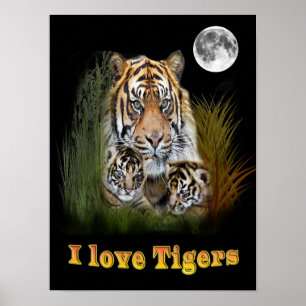 I Liebe Tigers Poster