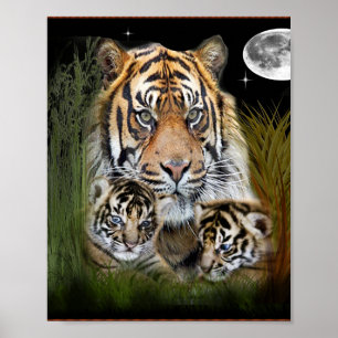 I Liebe Tigers Poster
