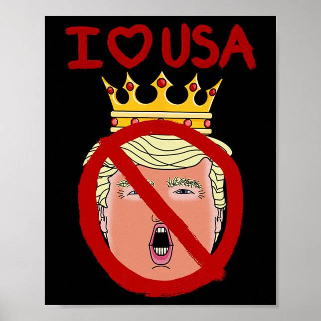 I Liebe USA Anti Trump 2024 Poster (Vorne)