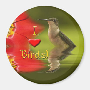 I Liebe-Vögel Magnet