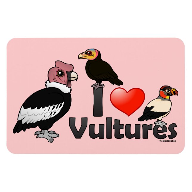 I Liebe Vultures (Südamerika) Magnet (Horizontal)