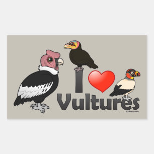 I Liebe Vultures (Südamerika) Rechteckiger Aufkleber