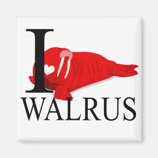 I Liebe Walrus Magnets Magnet