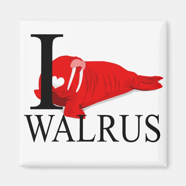 I Liebe Walrus Magnets Magnet (Vorne)