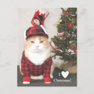 I Liebe-Weihnachten! Feiertagspostkarte