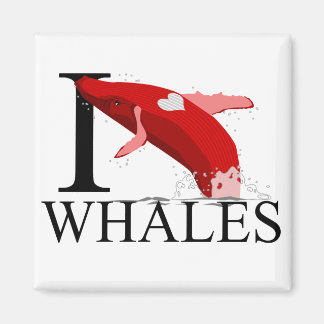 I Liebe Whales Magnete