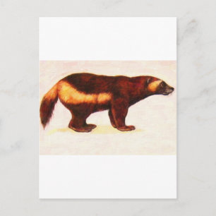 I Liebe Wolverine Postkarte