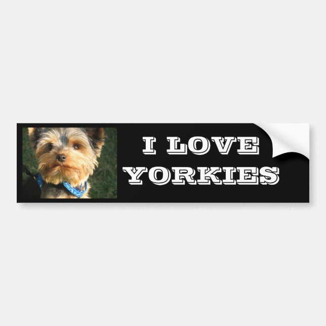 I Liebe Yorkies Autoaufkleber (Vorne)