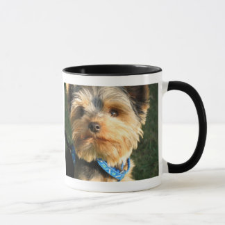 I Liebe Yorkies Tasse