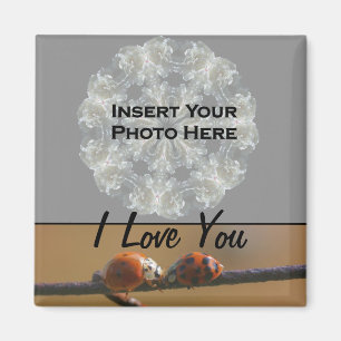 I Liebe You Ladybugs Foto Magnet