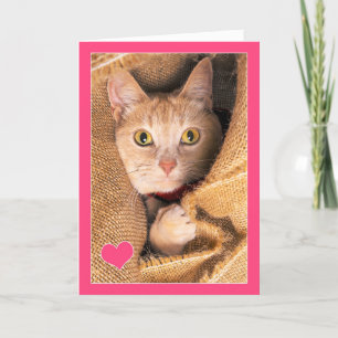 I Liebe You Orange Tabby Cat Liebe und Romantik Sp Feiertagskarte