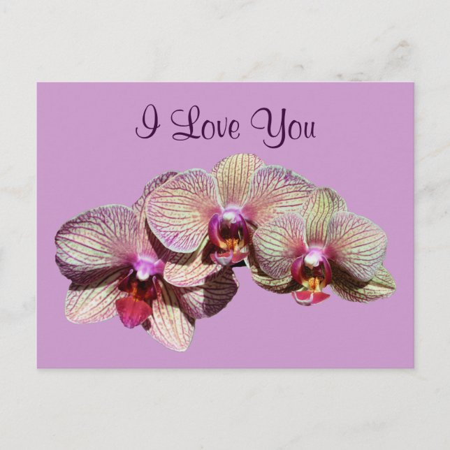 I Liebe You Orchid Trio Blume Foto Postkarte (Vorderseite)