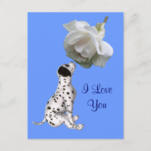 I Liebe You Puppy Rose Blume Foto Postkarte