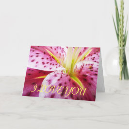 I Liebe You Stargazer Lily Card Karte