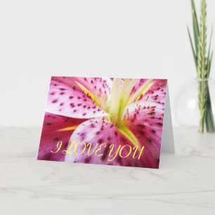I Liebe You Stargazer Lily Card Karte