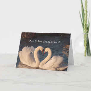 I Liebe You Swan Heart Anniversary Card Karte