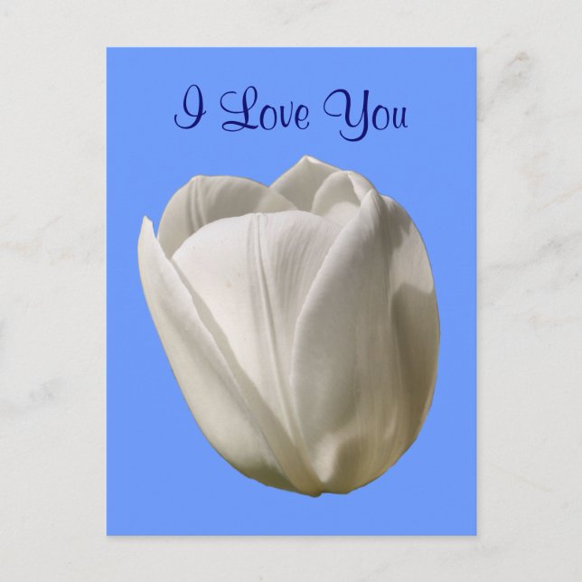 I Liebe You White Tulip Blume Foto Postkarte (Vorderseite)