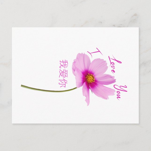 I Liebe You (Wo Ai Ni) auf Chinesisch Postkarte (Vorderseite)
