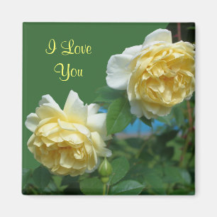 I Liebe You Yellow Roses Blume Foto Magnet