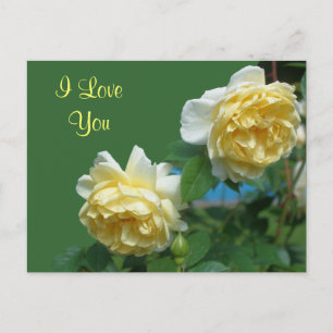I Liebe You Yellow Roses Blume Foto Postkarte