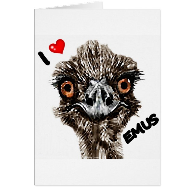 I LIEBEEMUS (Vorne)
