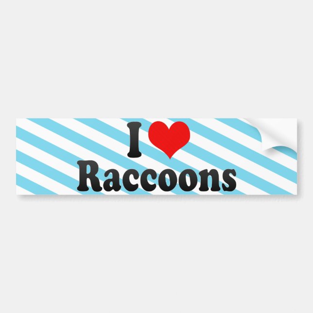 I LiebeRaccoons Autoaufkleber (Vorne)