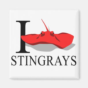I Liebestingrays-Magneten Magnet