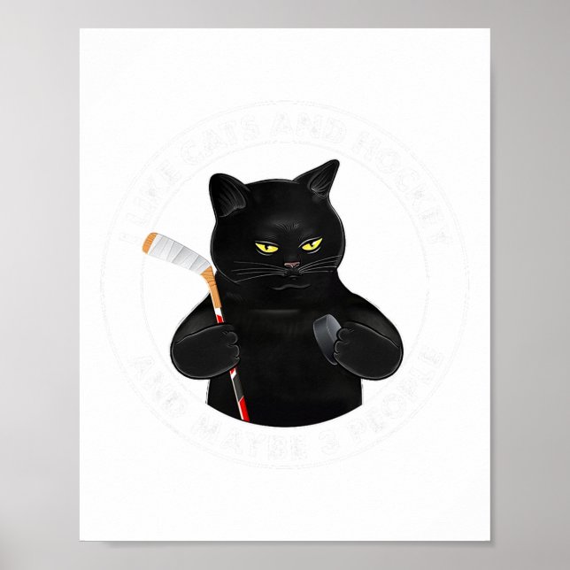 I Like Cats And Hockey And Maybe 3 People Funny Bl Poster (Vorne)