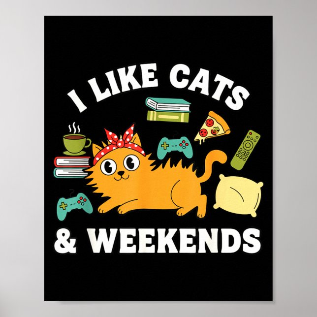 I Like Cats And Weekends Lover Funny Cozy Gamer Qu Poster (Vorne)