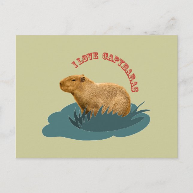 I love capybaras postkarte (Vorderseite)